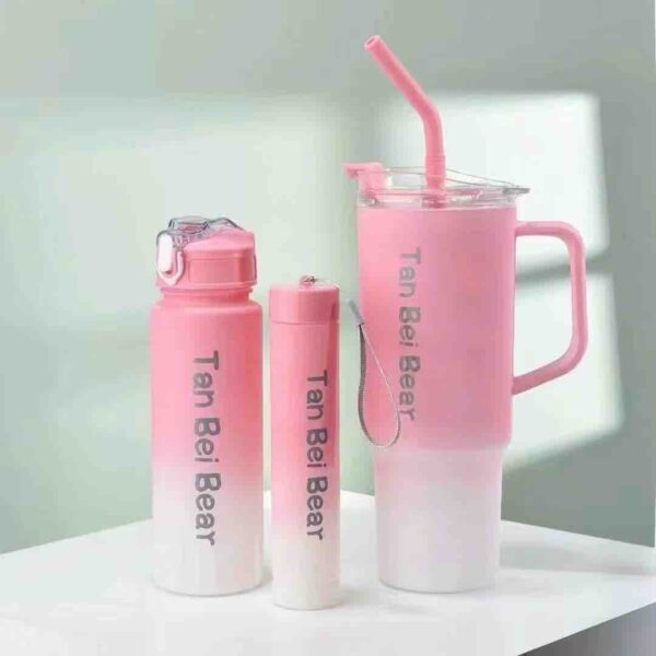 3 in 1 gradient sippy cup